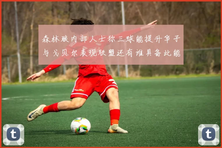 森林狼内部人士称三球能提升华子与戈贝尔表现联盟还有谁具备此能力